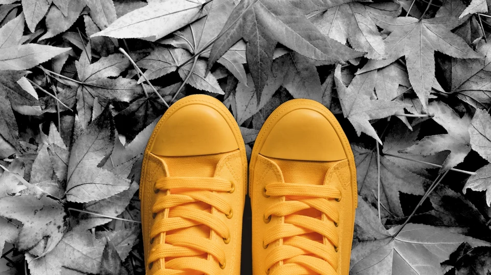 autumn-collections-light